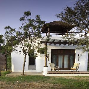 Double Room Mountain View
