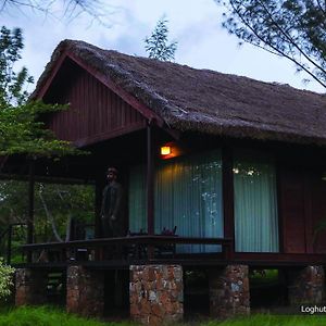 Log Hut